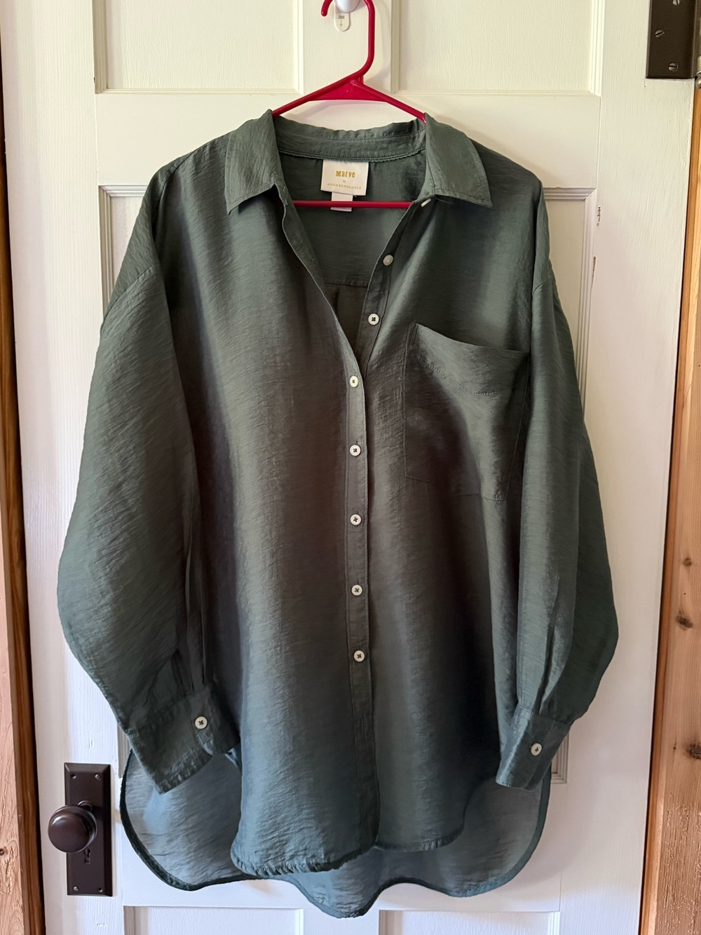 The Bennett Button Down Shirt by MAEVE Anthropologie: Sheer Edition - Picture 10 of 16